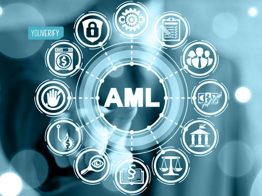 Introduction to Advanced Anti Money Laundering Techniques